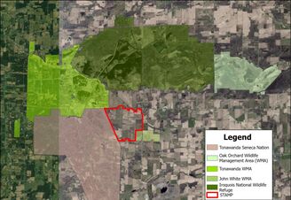 Satellite map of the STAMP site and surrounding protected lands. STAMP is an irregular block of land outlined in red in the center. To the left (west) is a beige block about five times the size covering Tonawanda Seneca Nation. Above (north) of that is a green area covering Tonawanda Wildlife Management Area. To the right (east) is Iroquois National Wildlife Refuge, also in green, followed by Oak Orchard Wildlife Management Area, in another shade of green. To the east of the STAMP site is the much smaller John White Wildlife Management Area.